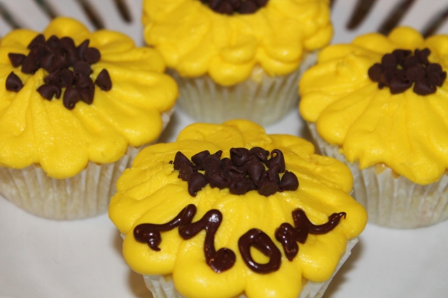 Lemon Chocolate Chip Cupcakes Recipe with Paradise Candied Lemon Peel