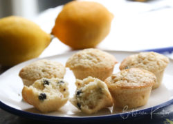 Lemon Blueberry Muffins