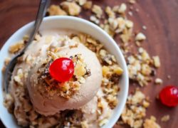 Vegan Maple Almond Ice Cream